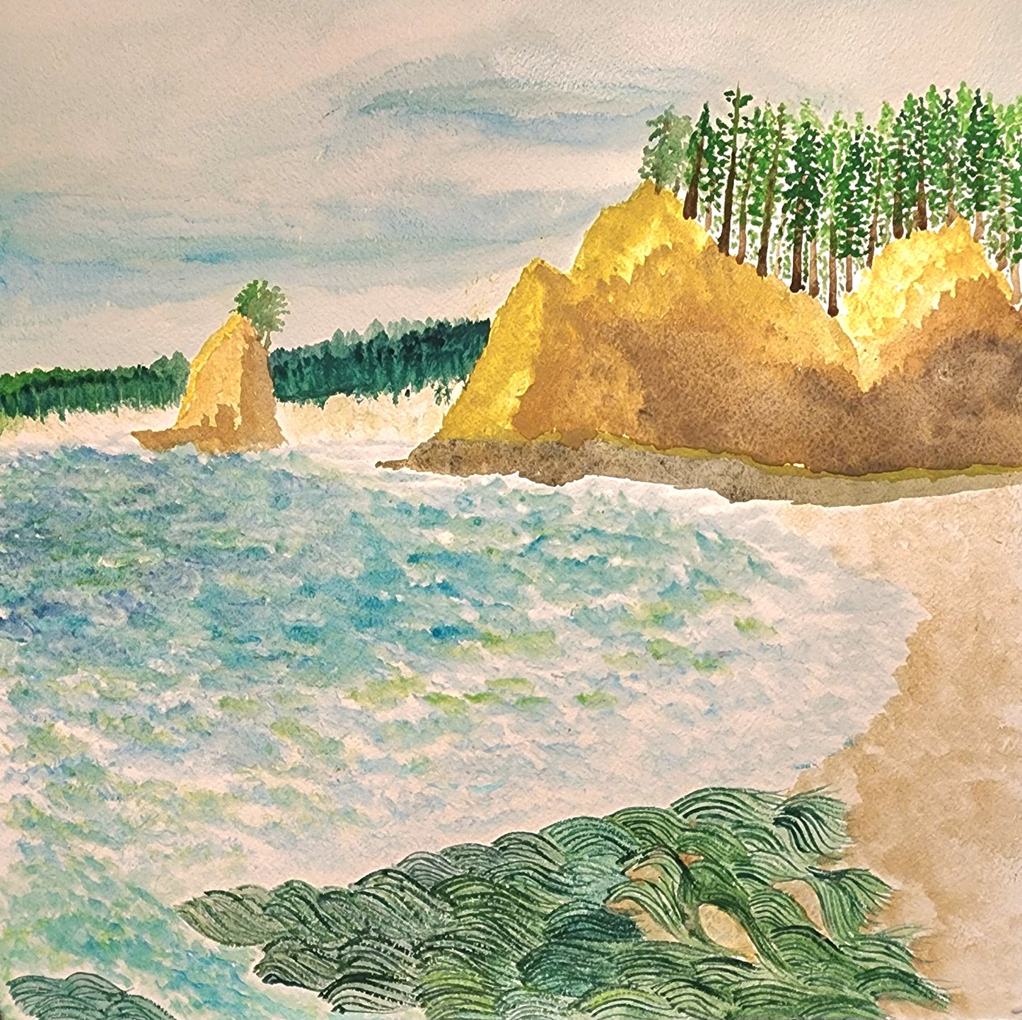 Seaweed at the Coast