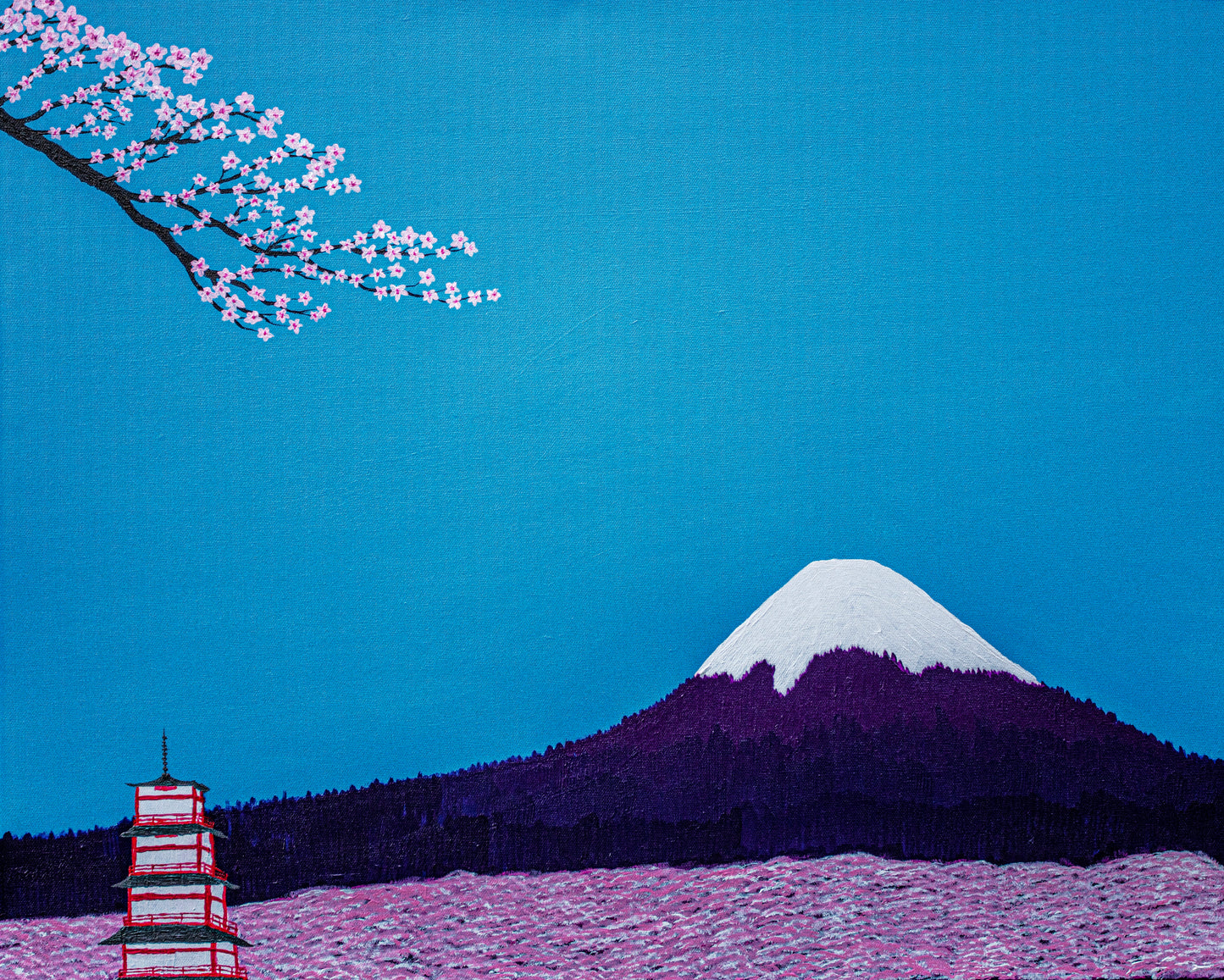 Fuji Cherry Blossoms
