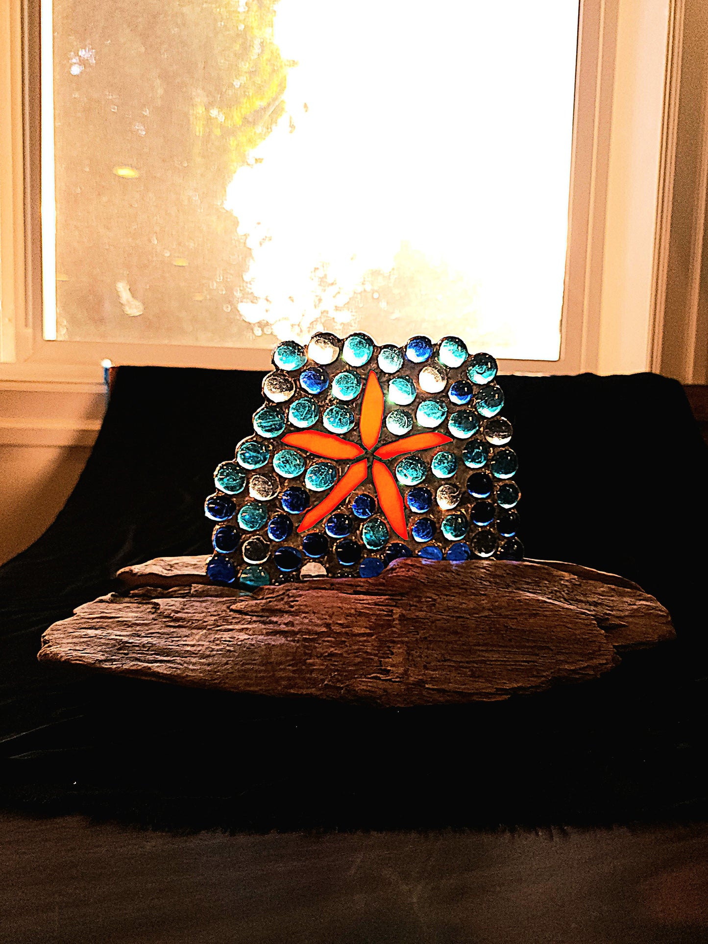 Starfish in the Surf