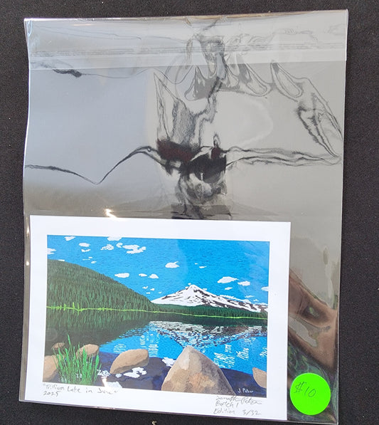 Print of "Trillium Lake in June"