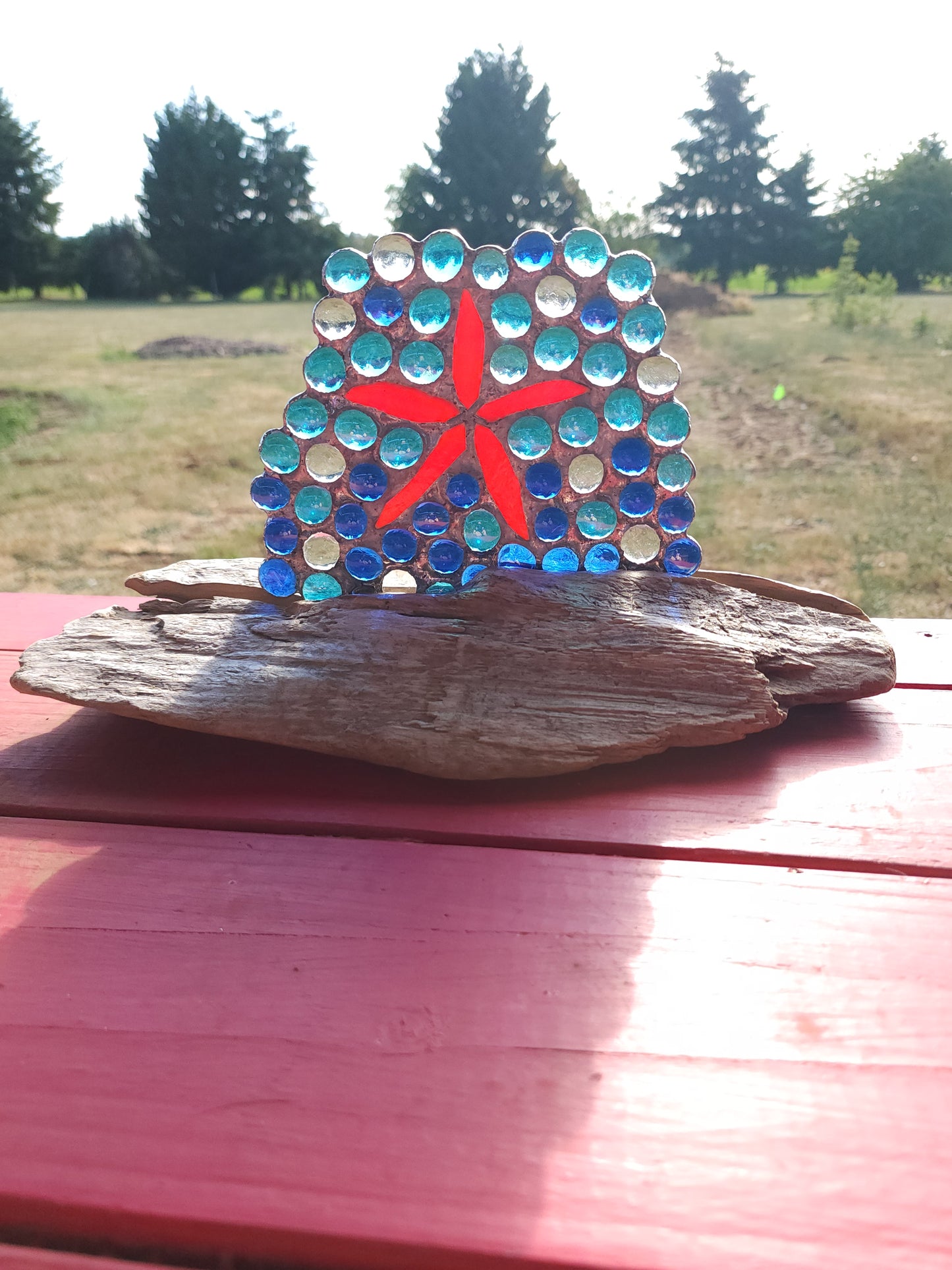 Starfish in the Surf