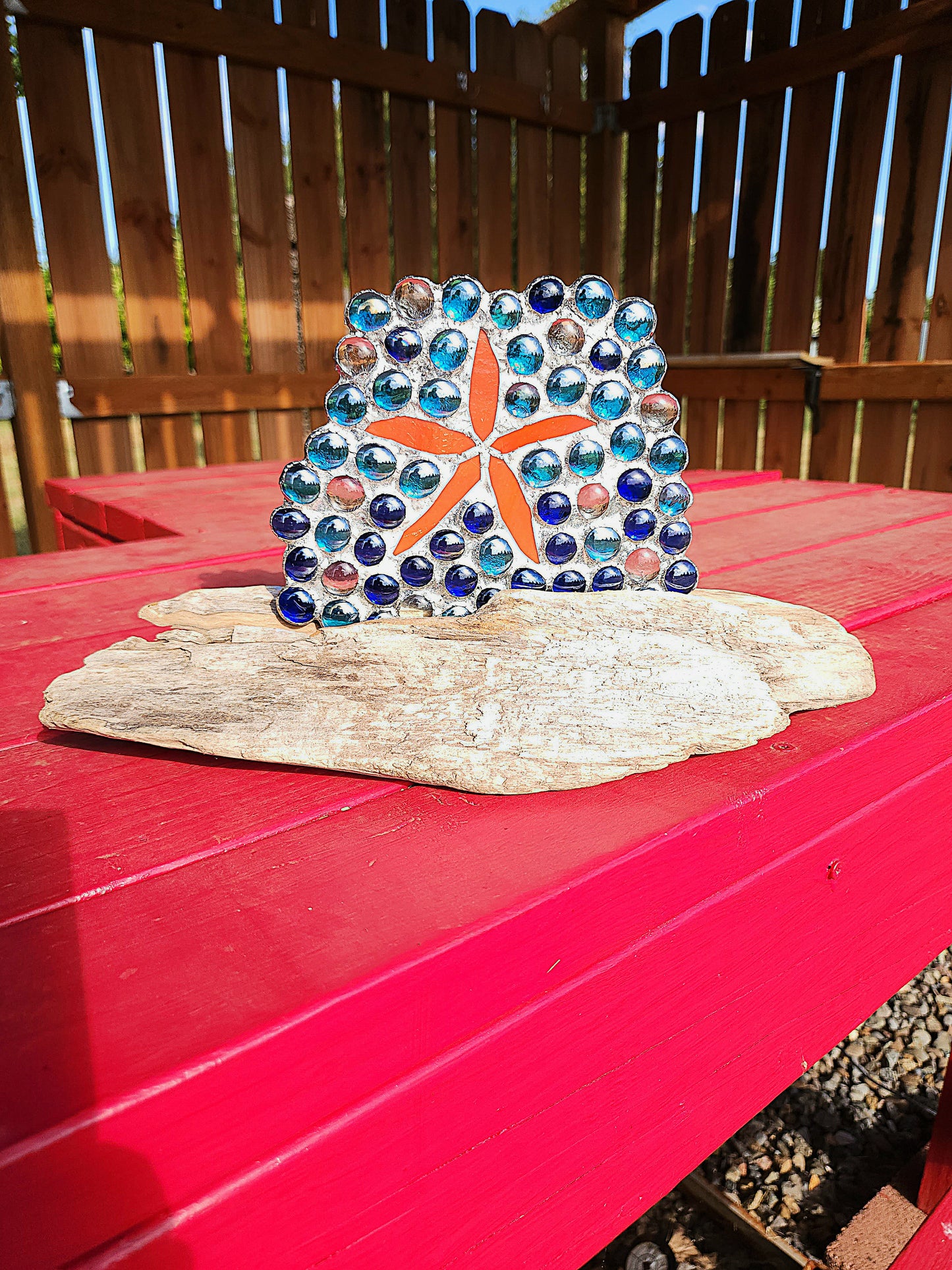 Starfish in the Surf