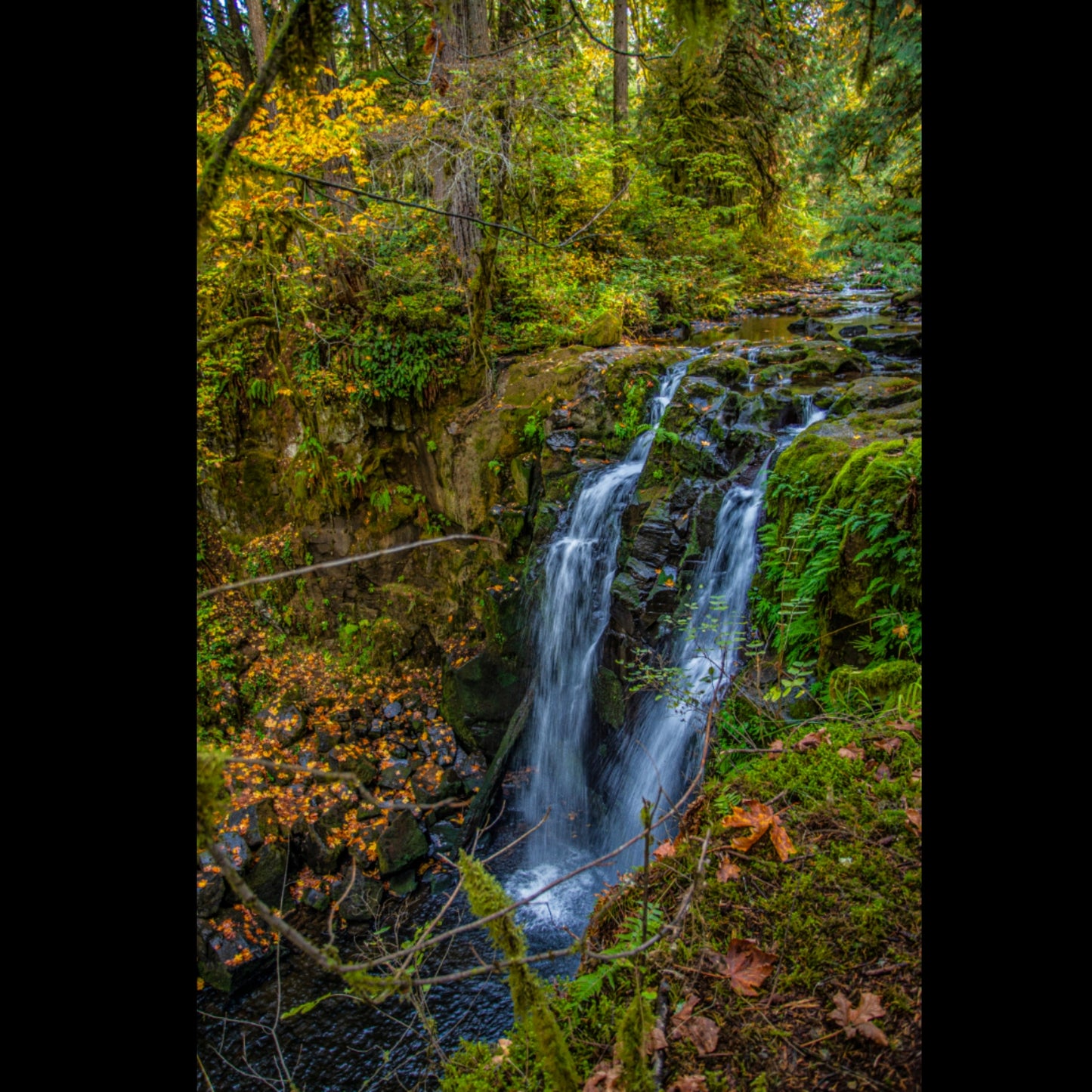 Majestic Falls in Autumn