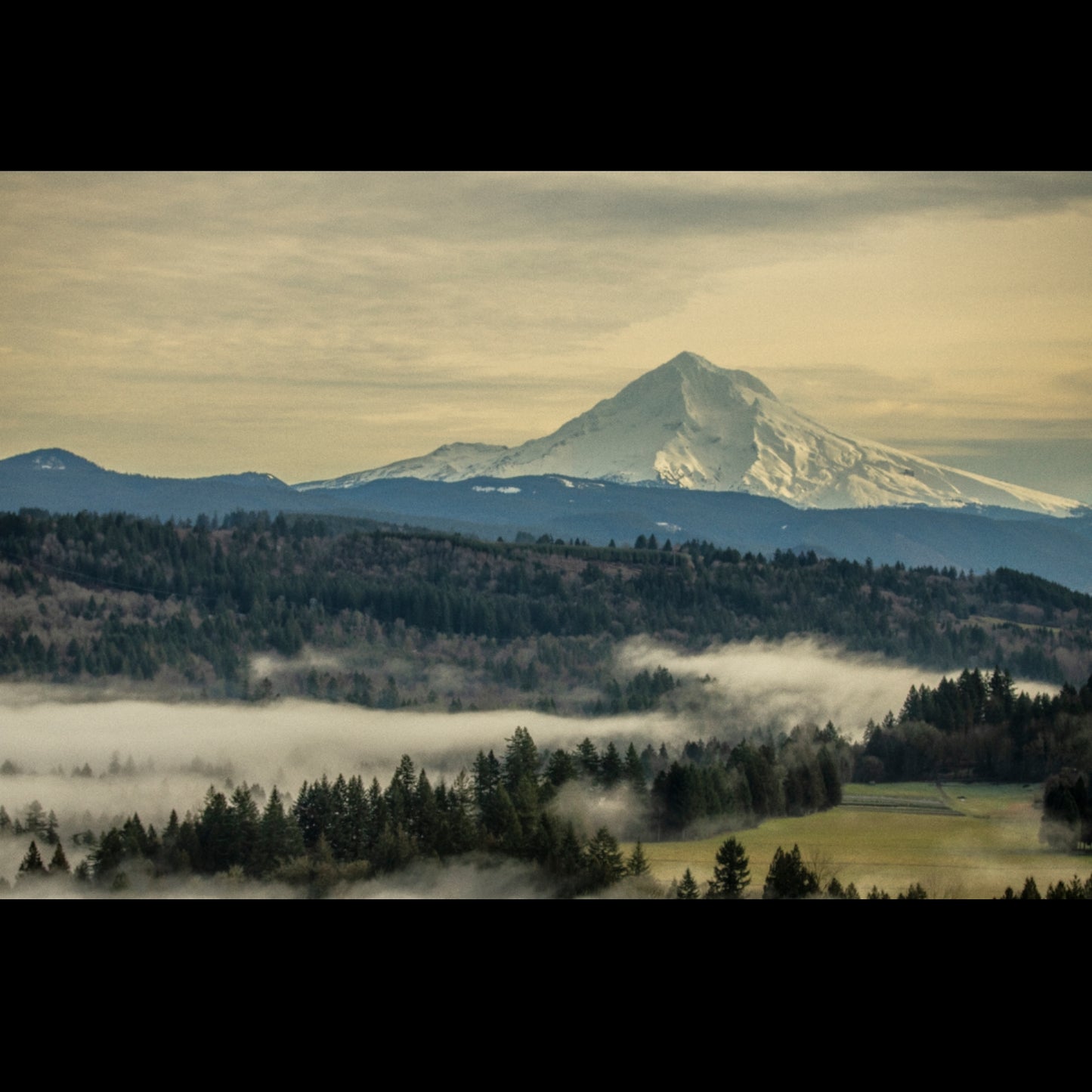 Foggy Winter Morning — Landscape View